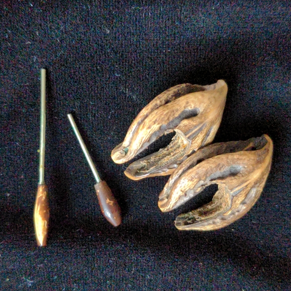 Wood/Nut Earrings - Picture 4 of 5